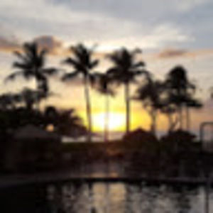 Meet your Posher, Darlene